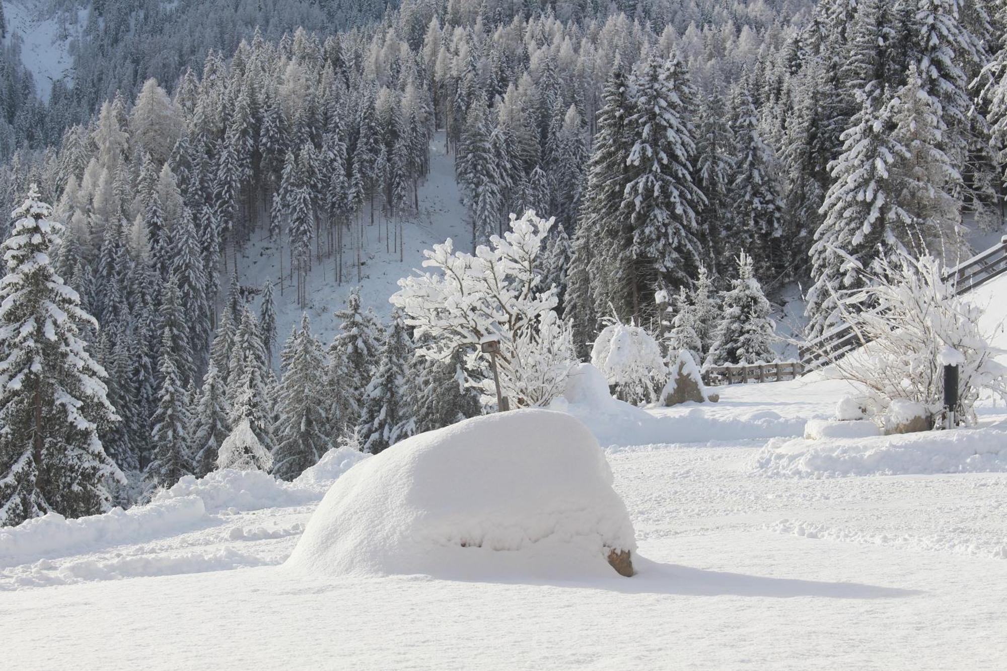 Almresidenz Unterrain -1 Km By Car Distance Slopes Kronplatz Olang