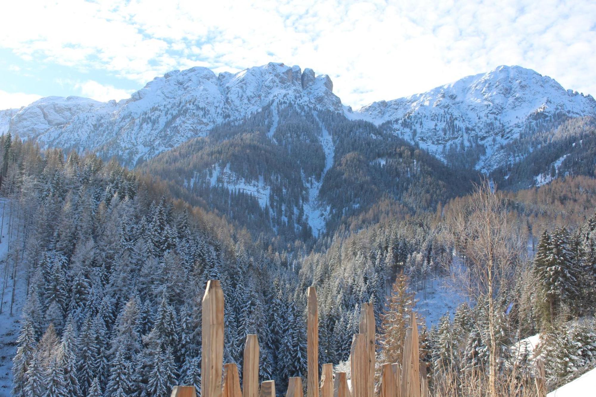 Almresidenz Unterrain -1 Km By Car Distance Slopes Kronplatz Farm stay