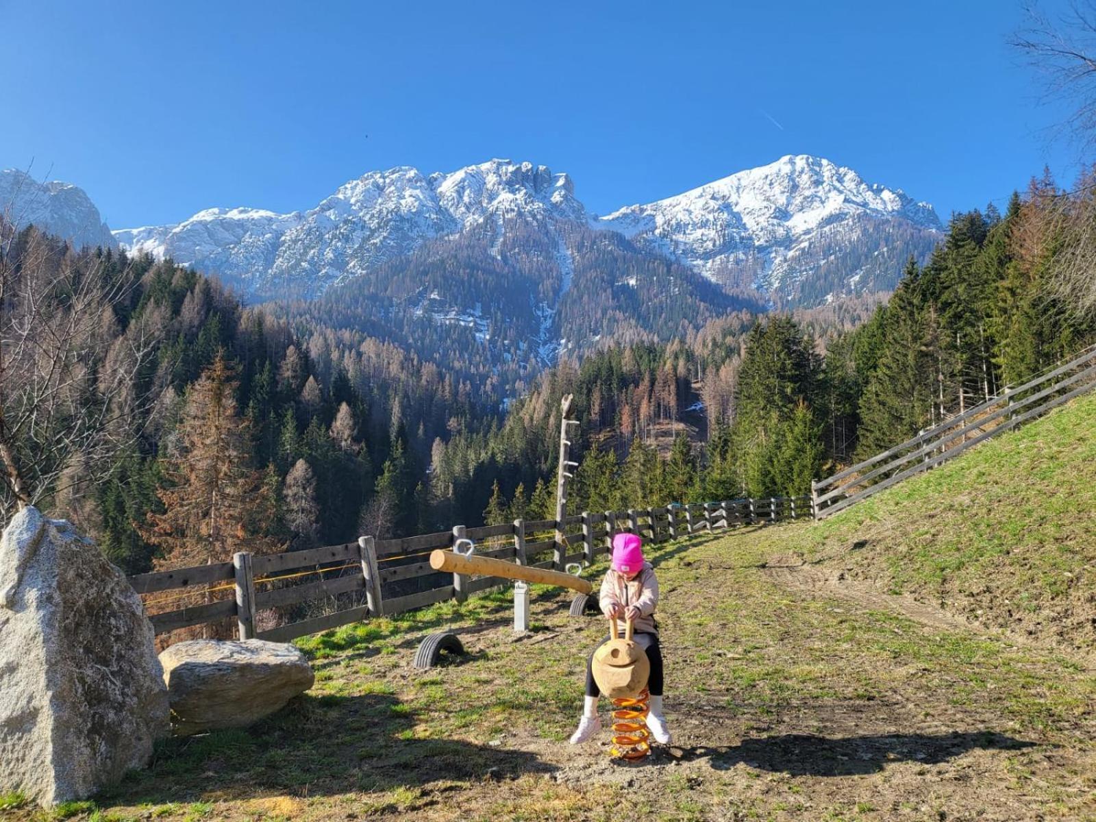 Farm stay Almresidenz Unterrain -1 Km By Car Distance Slopes Kronplatz *